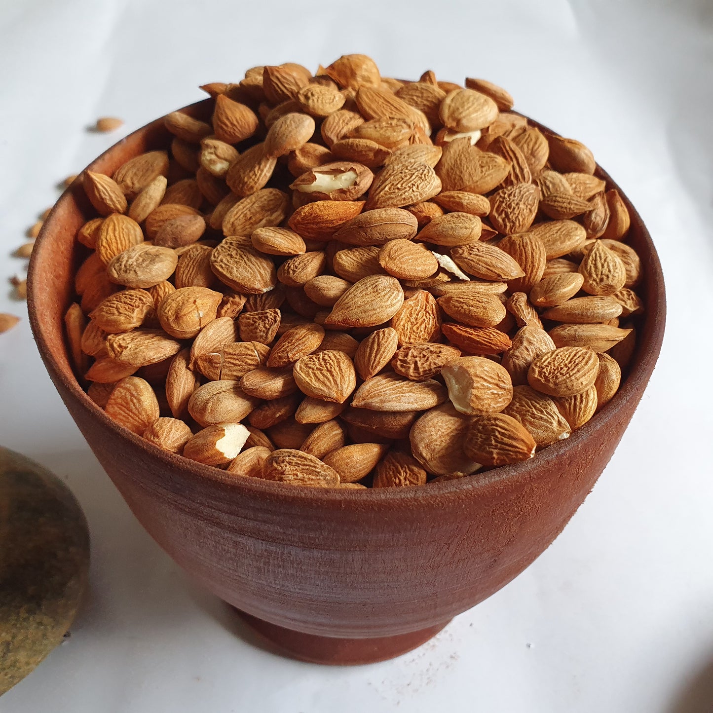 Premium Apricot Kernels (Khubani Giri) | 100% Natural & Organic